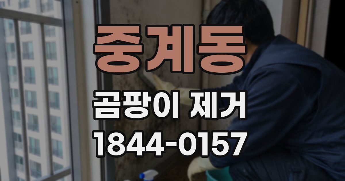 중계동 곰팡이 제거