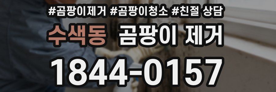 수색동 곰팡이 제거