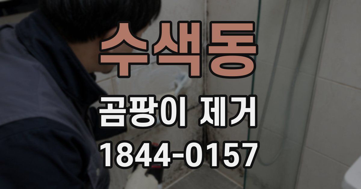 수색동 곰팡이 제거