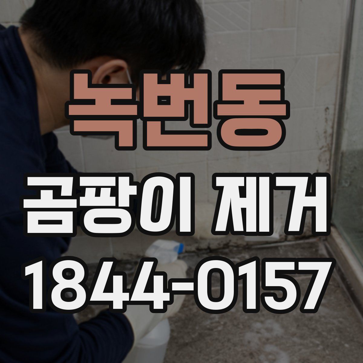 녹번동 곰팡이 제거