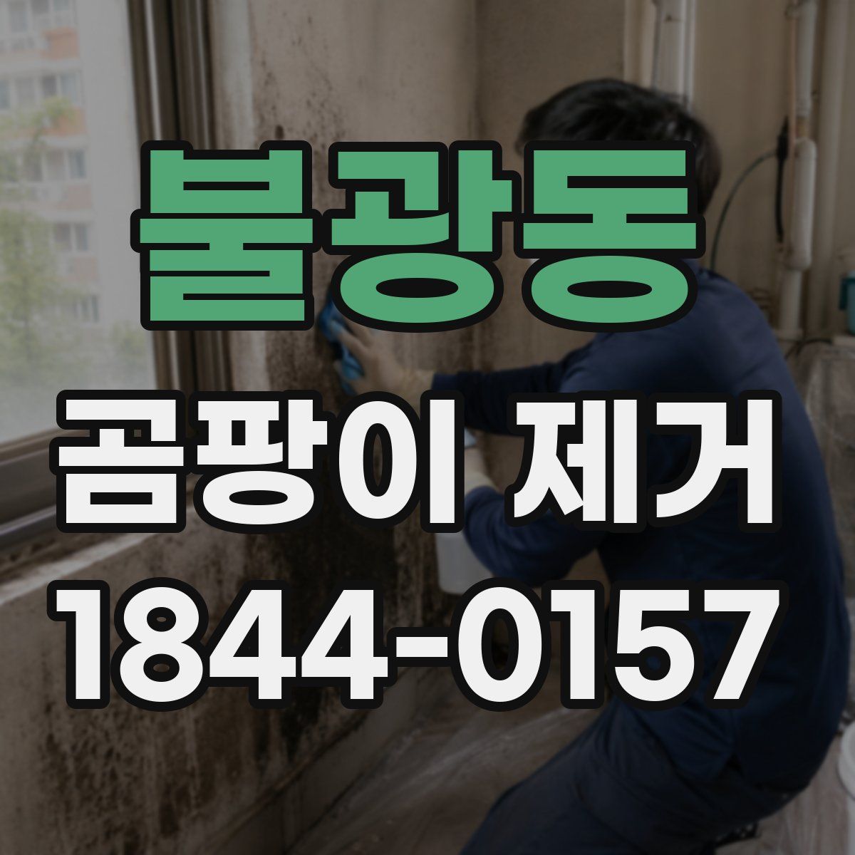불광동 곰팡이 제거