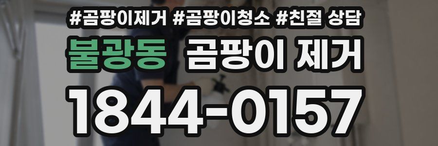 불광동 곰팡이 제거