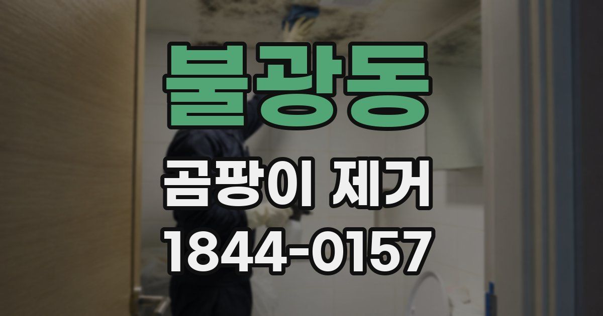 불광동 곰팡이 제거