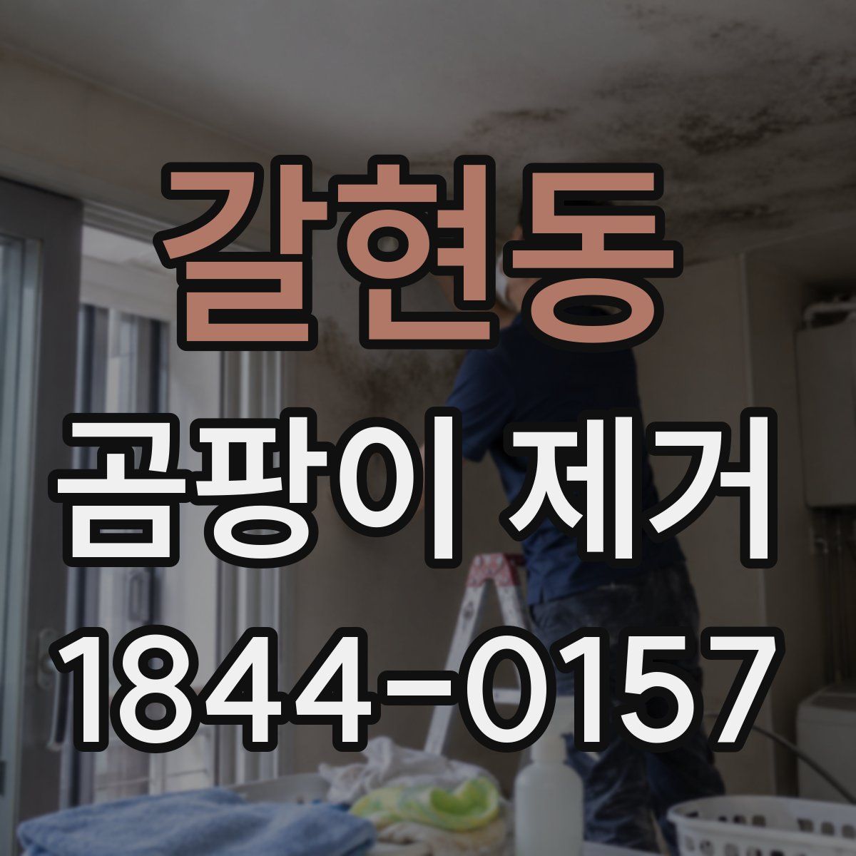 갈현동 곰팡이 제거