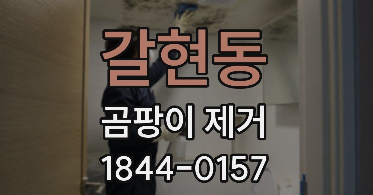 갈현동 곰팡이 제거