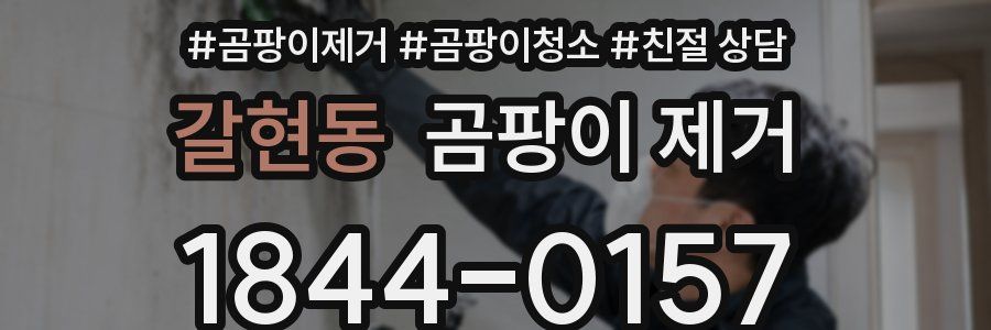 갈현동 곰팡이 제거