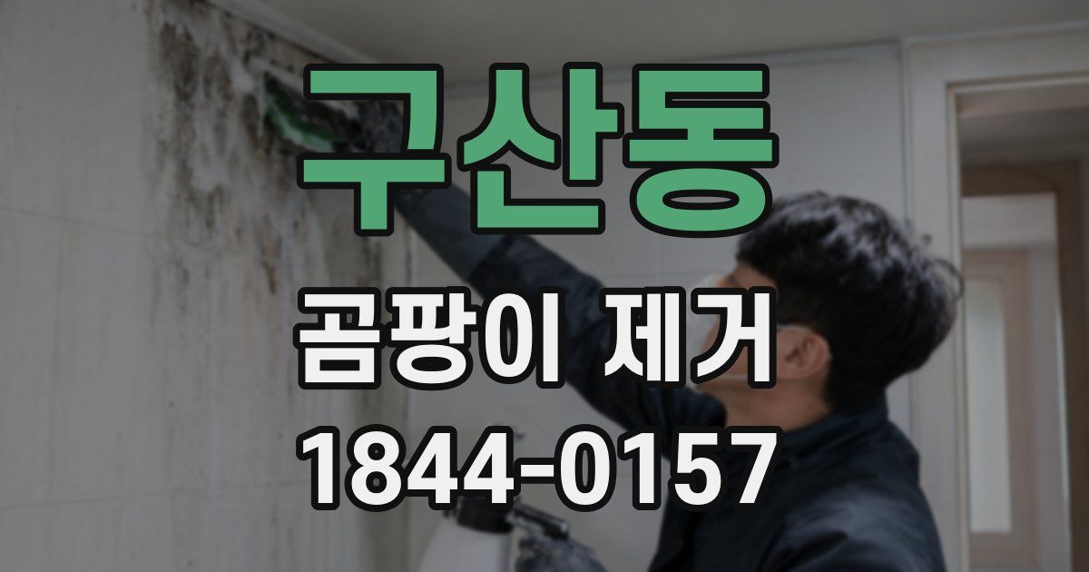 구산동 곰팡이 제거