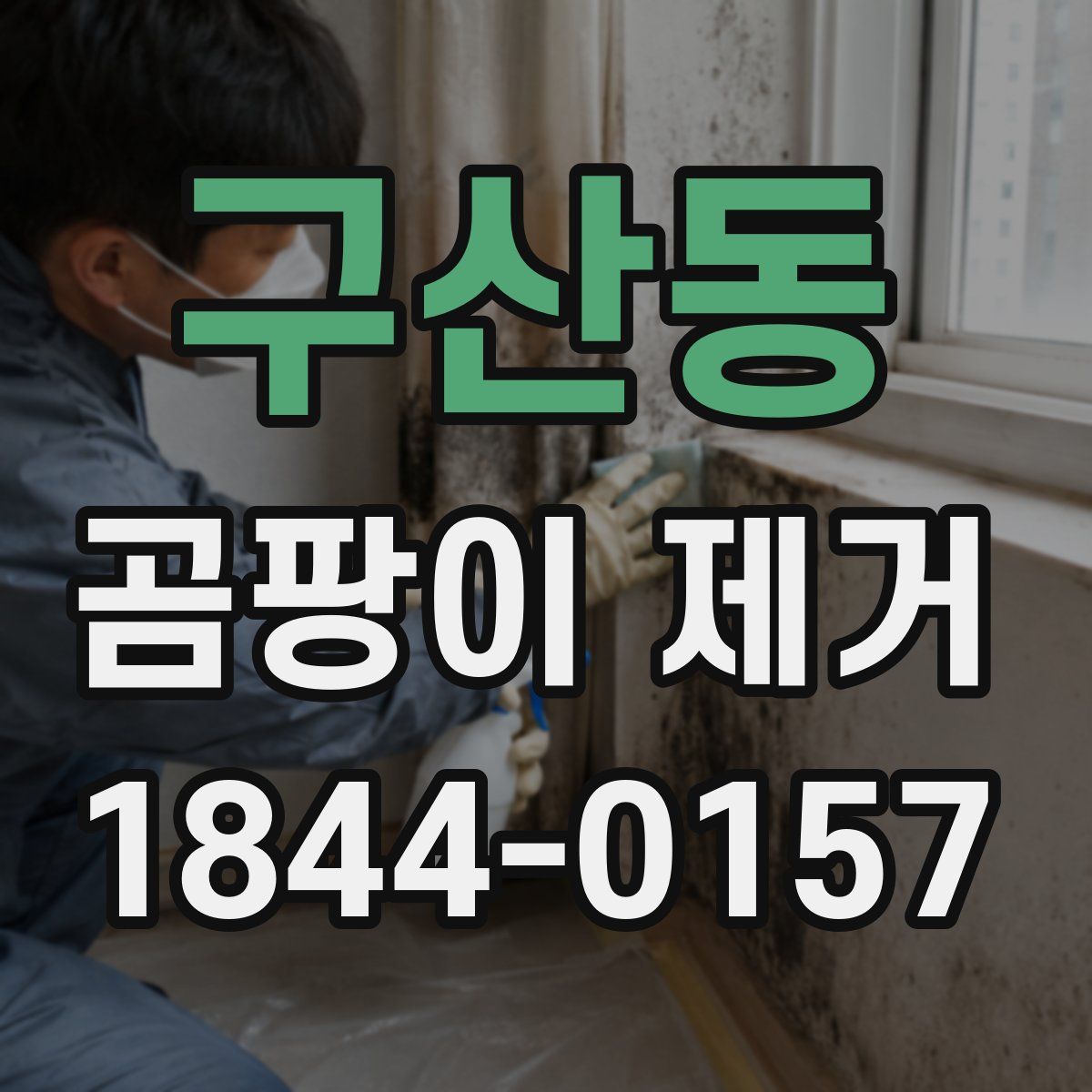 구산동 곰팡이 제거