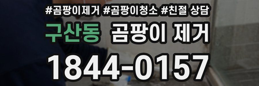 구산동 곰팡이 제거