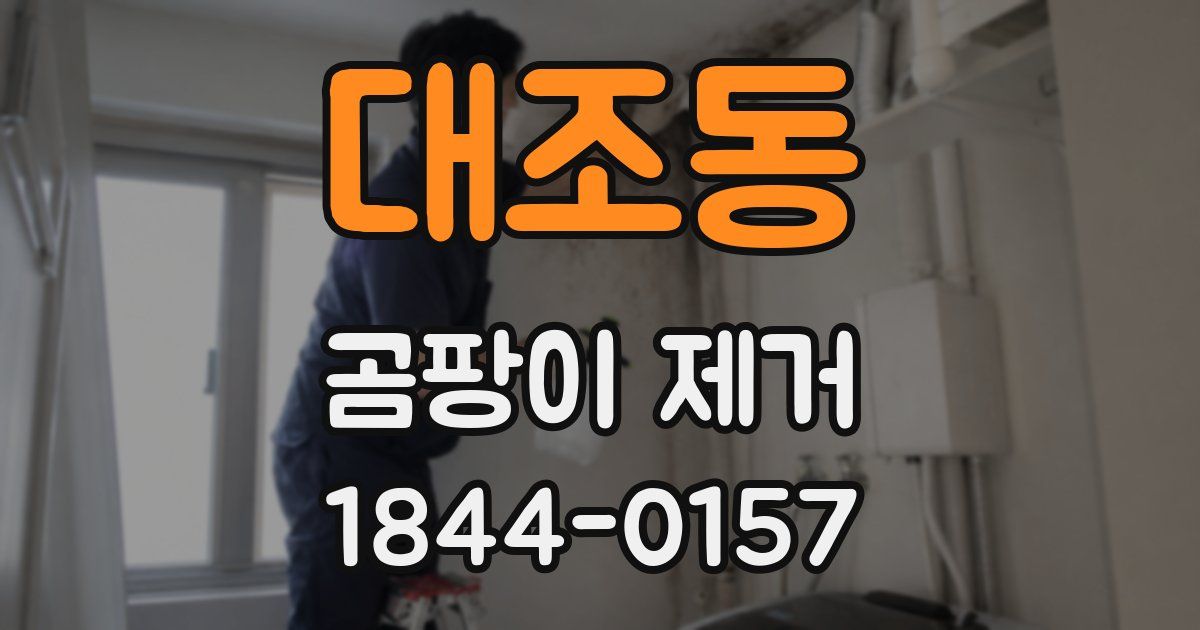 대조동 곰팡이 제거