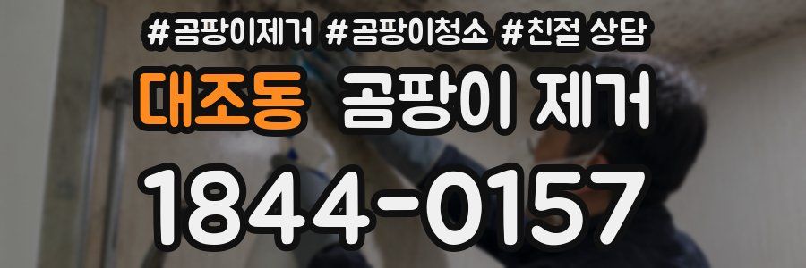 대조동 곰팡이 제거
