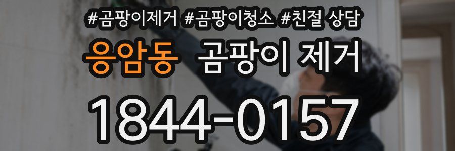 응암동 곰팡이 제거