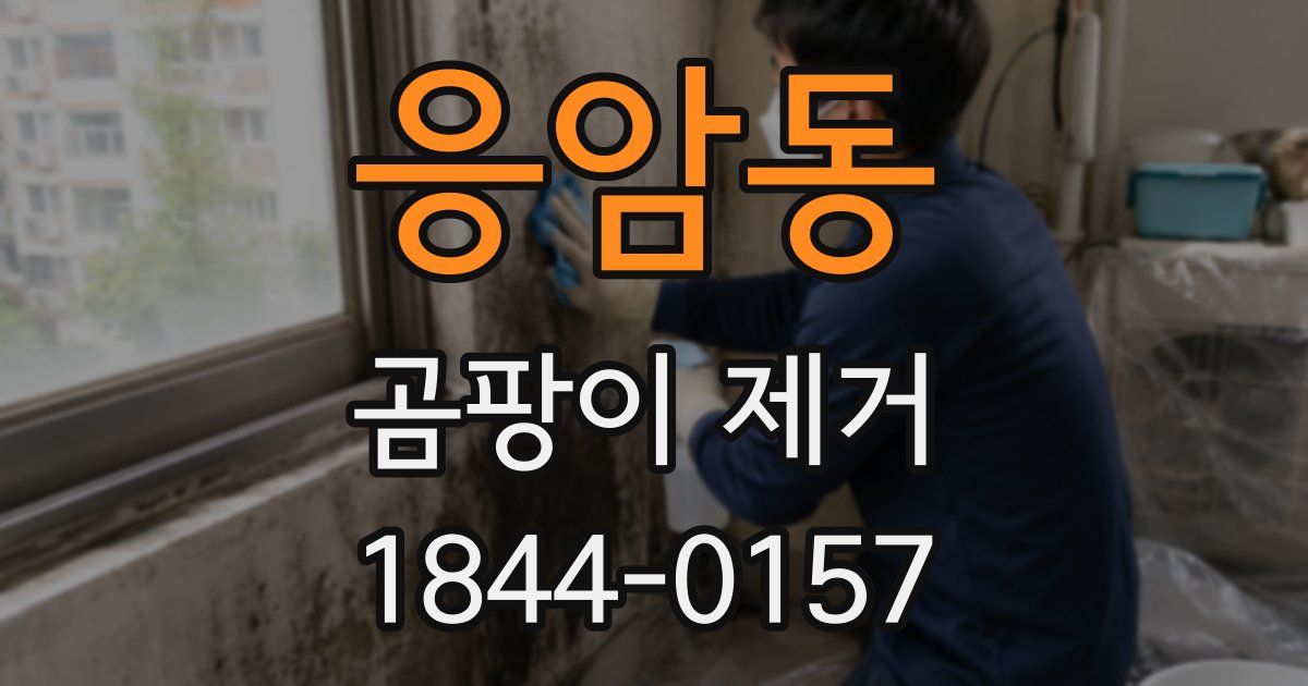 응암동 곰팡이 제거