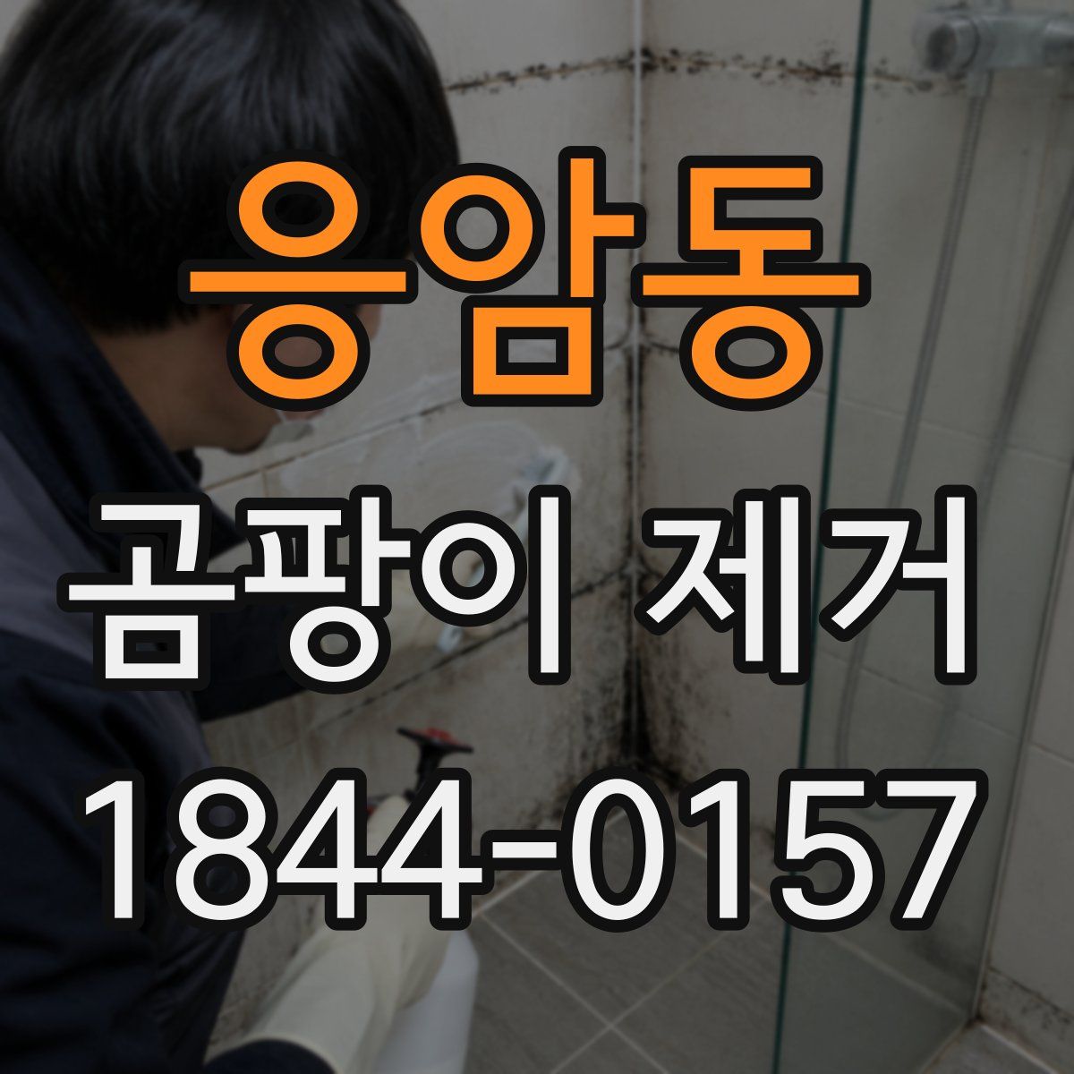 응암동 곰팡이 제거