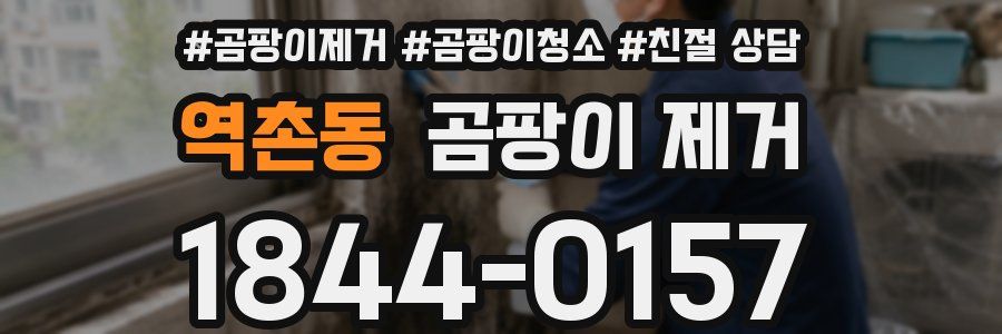 역촌동 곰팡이 제거