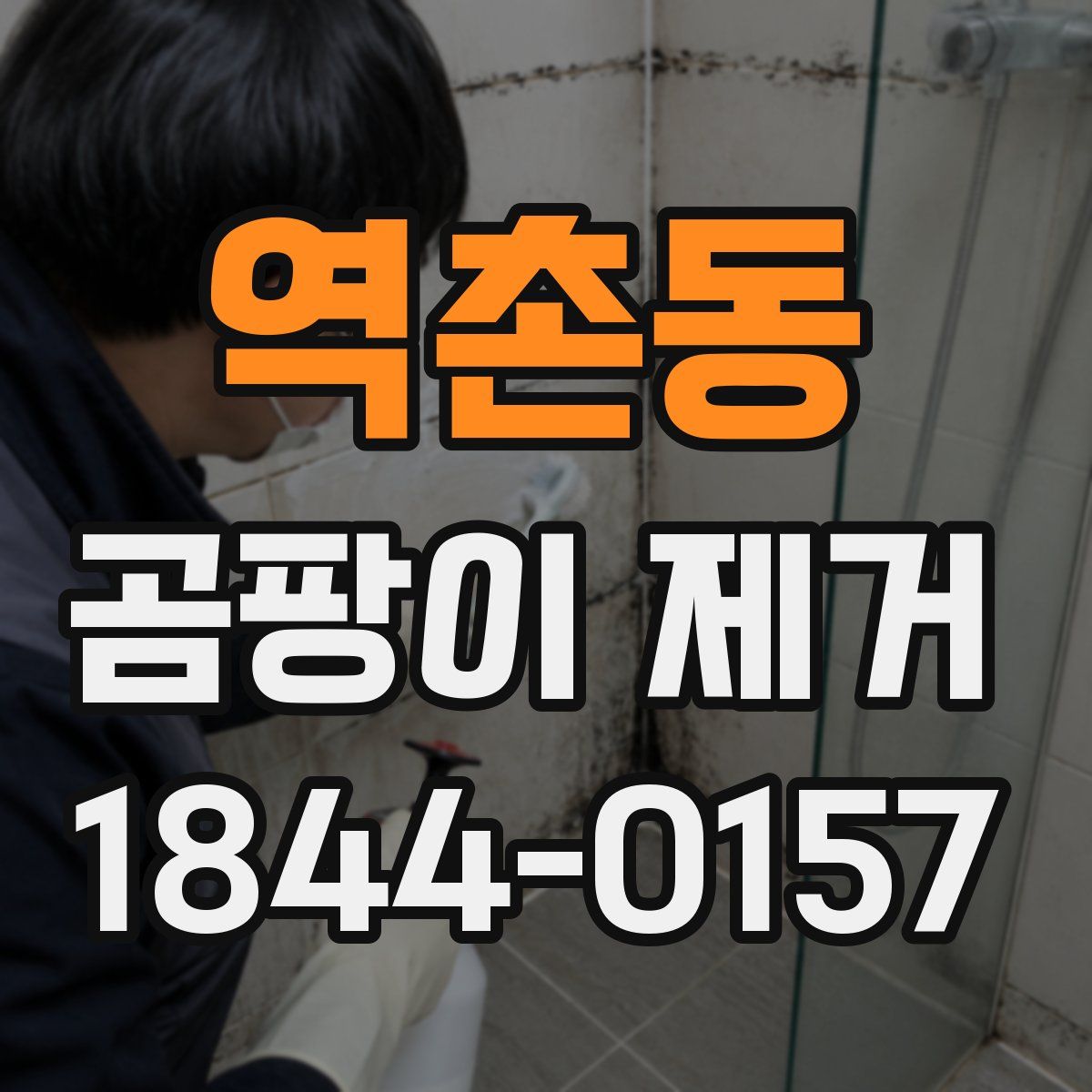 역촌동 곰팡이 제거