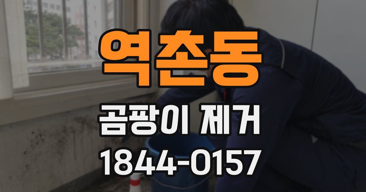 역촌동 곰팡이 제거