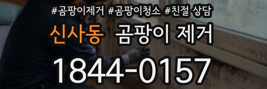 신사동 곰팡이 제거
