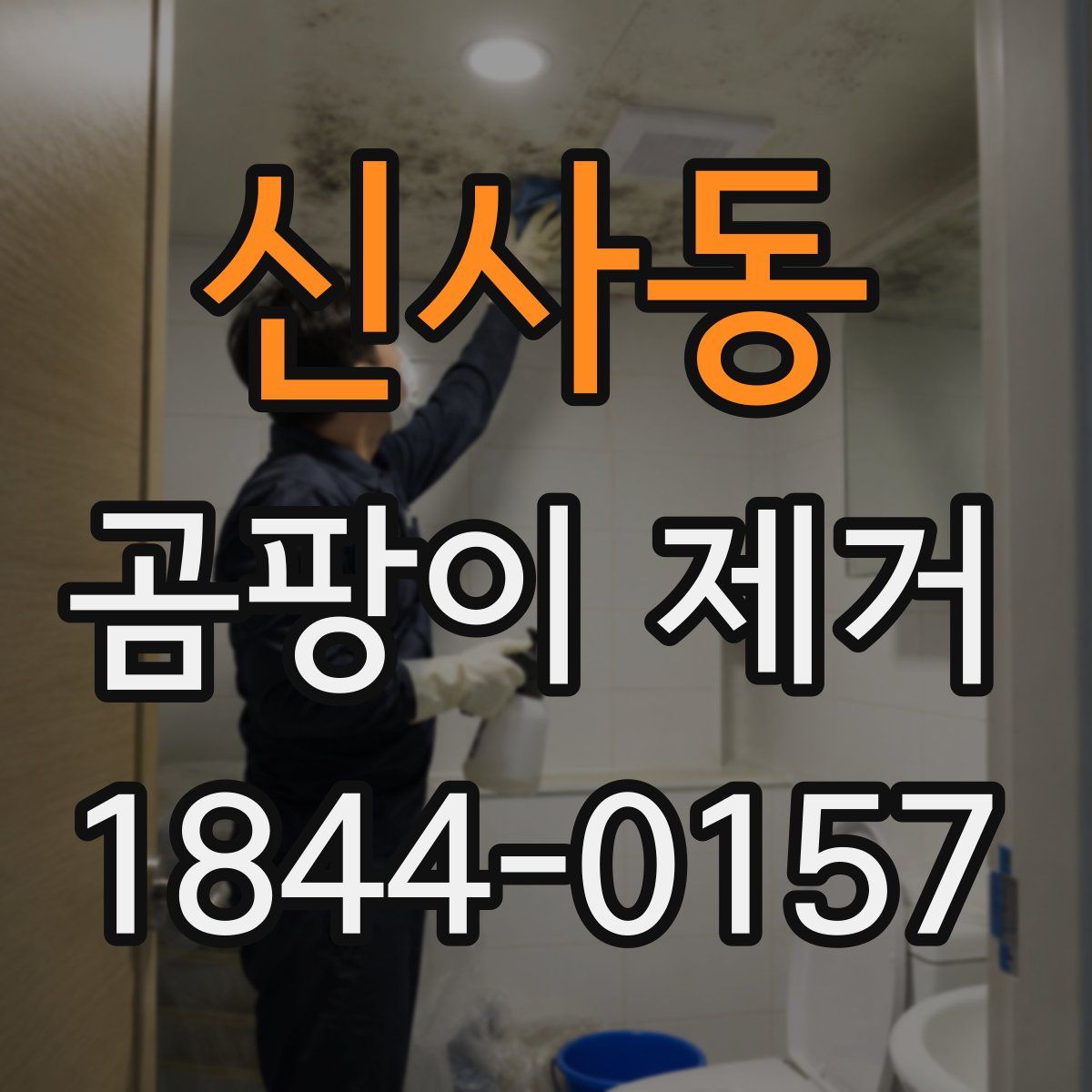 신사동 곰팡이 제거