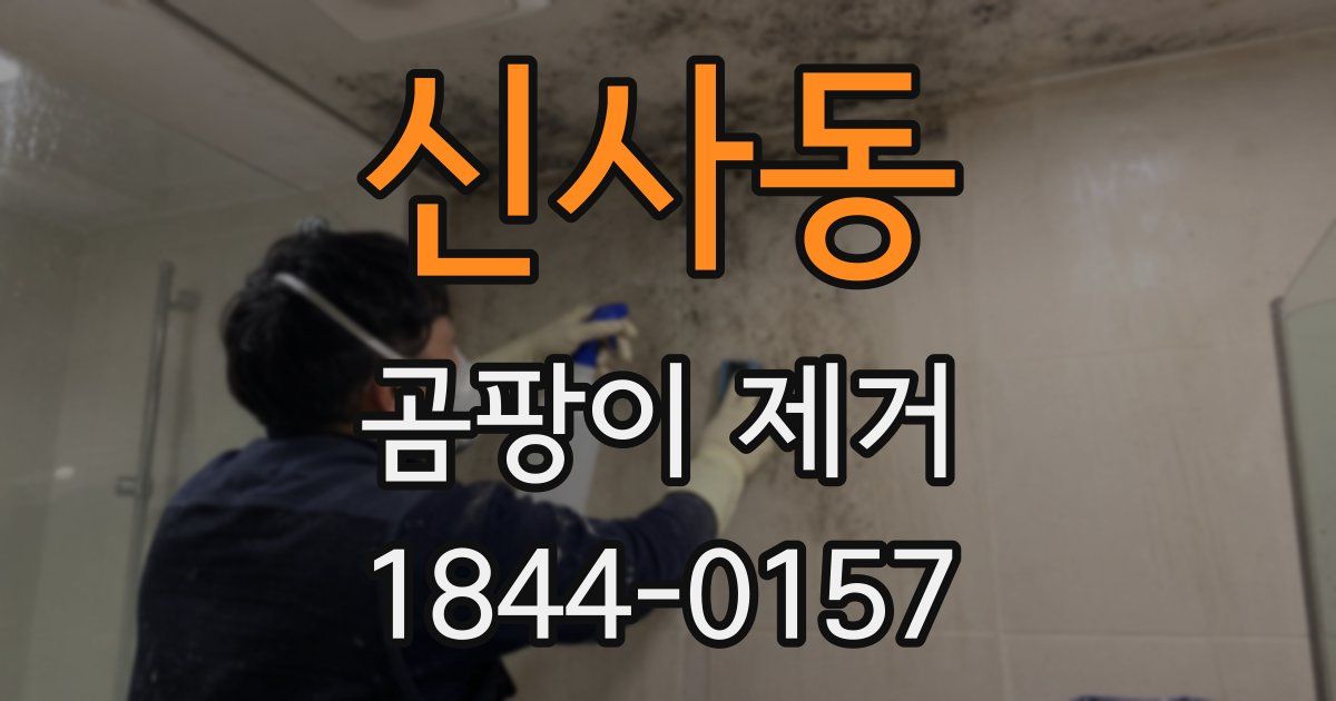 신사동 곰팡이 제거