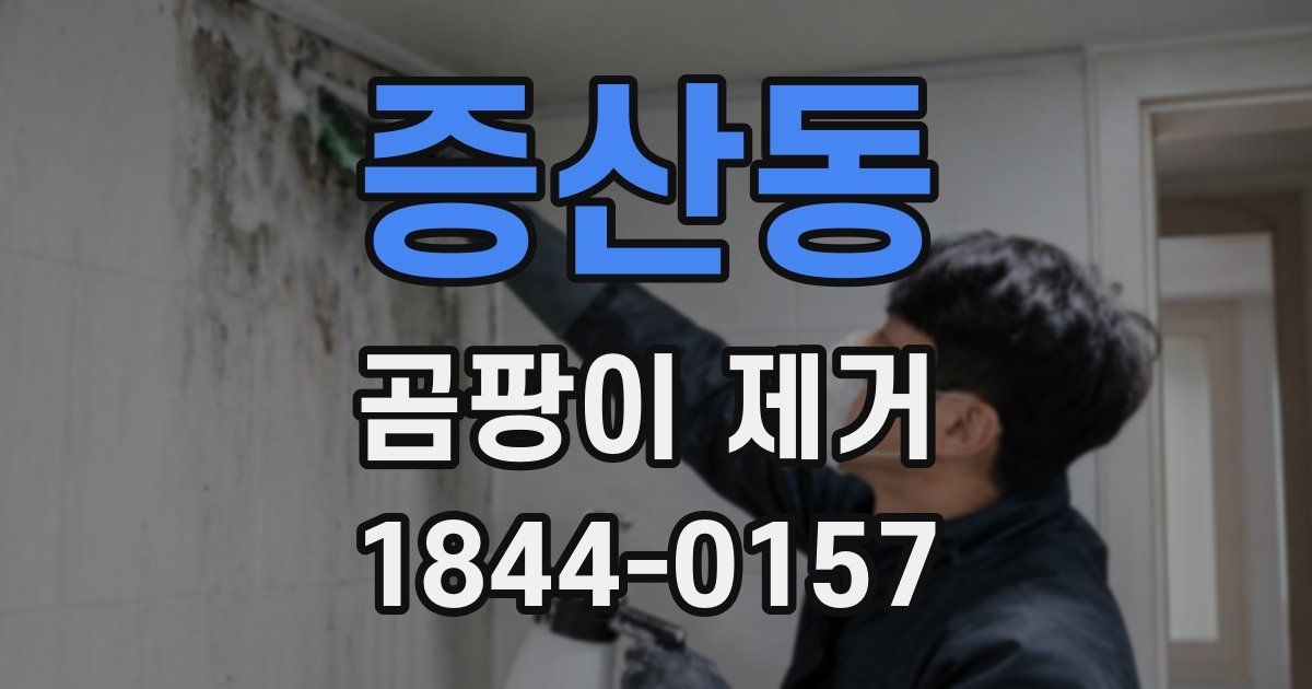 증산동 곰팡이 제거