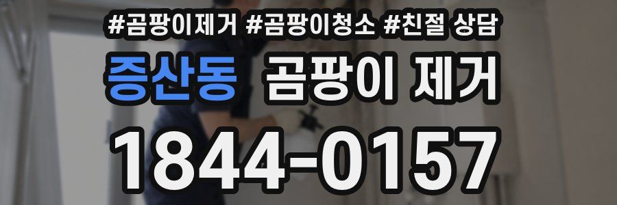 증산동 곰팡이 제거
