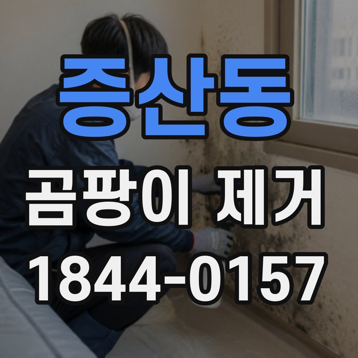 증산동 곰팡이 제거