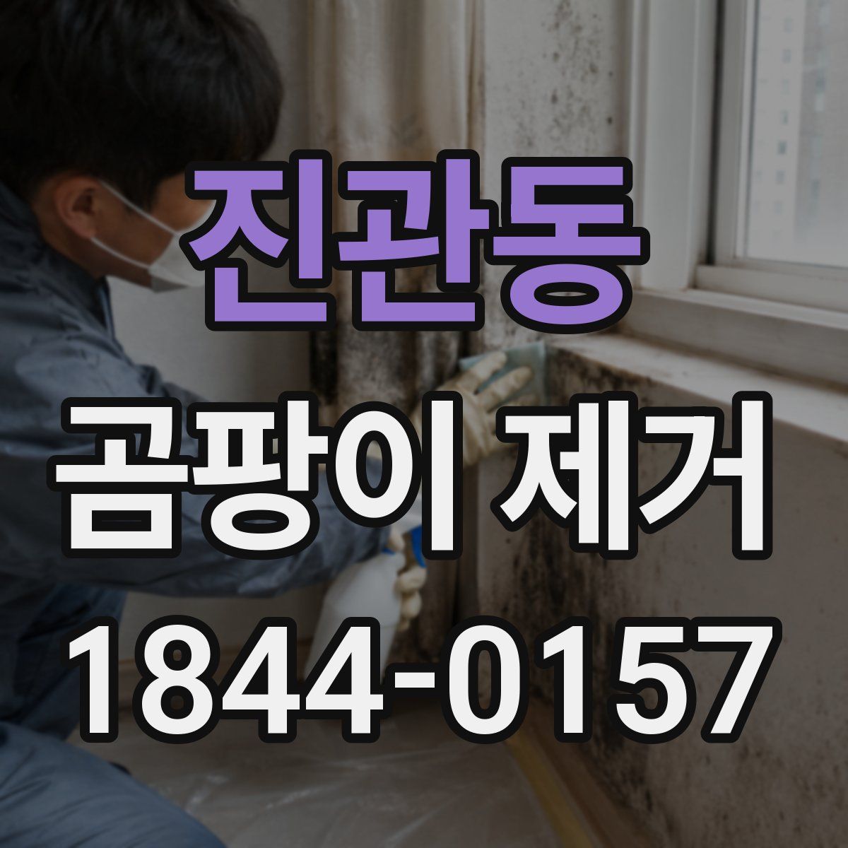 진관동 곰팡이 제거