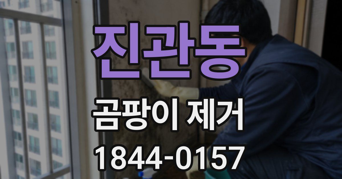 진관동 곰팡이 제거