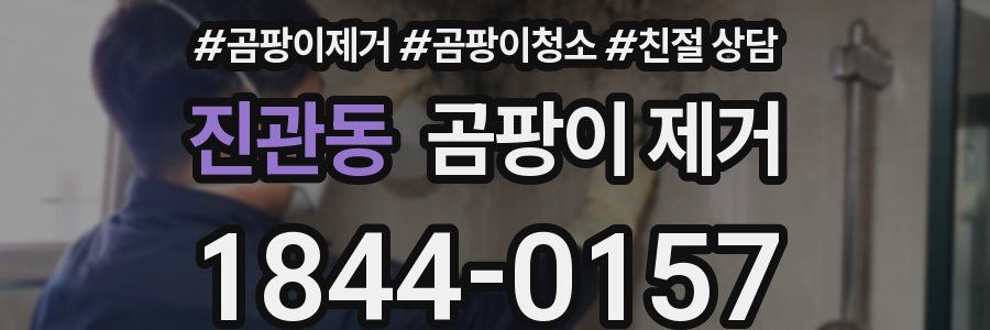 진관동 곰팡이 제거