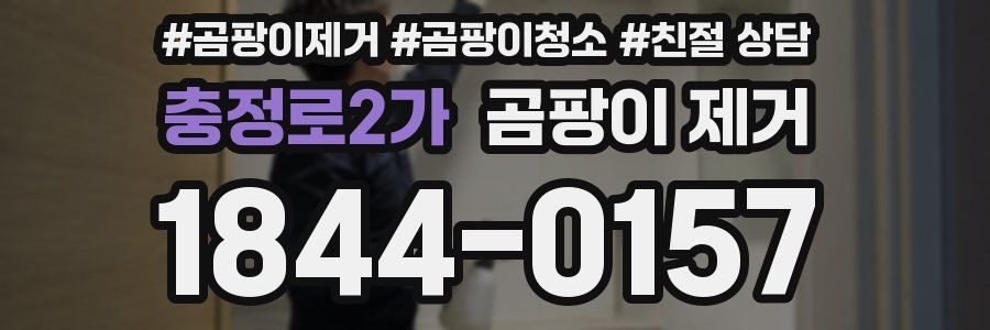 충정로2가 곰팡이 제거