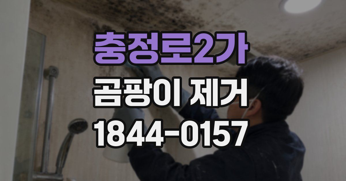 충정로2가 곰팡이 제거