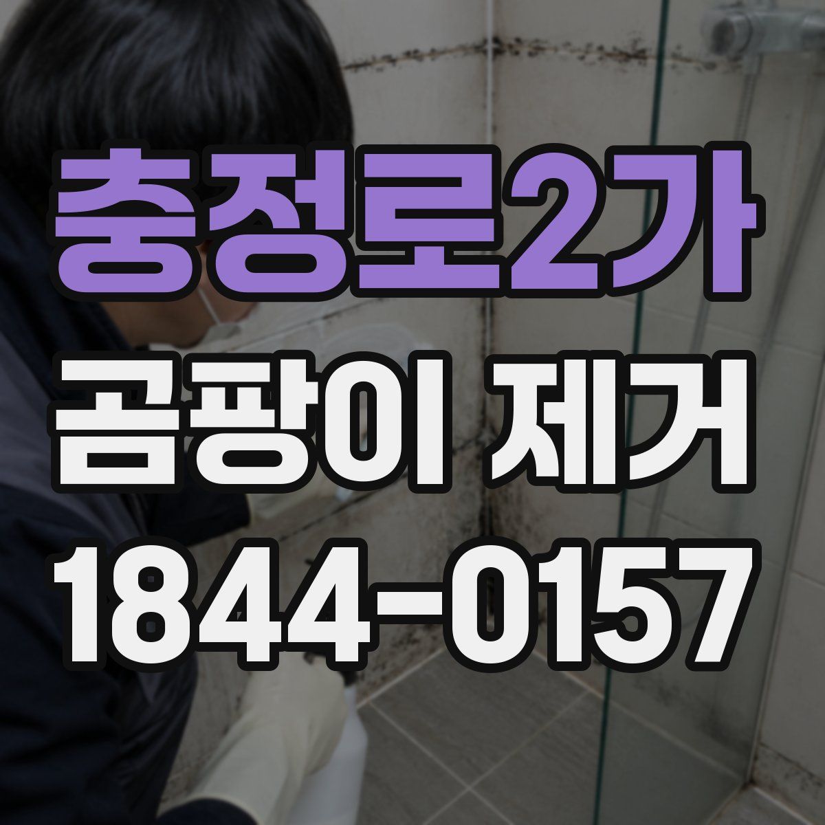 충정로2가 곰팡이 제거