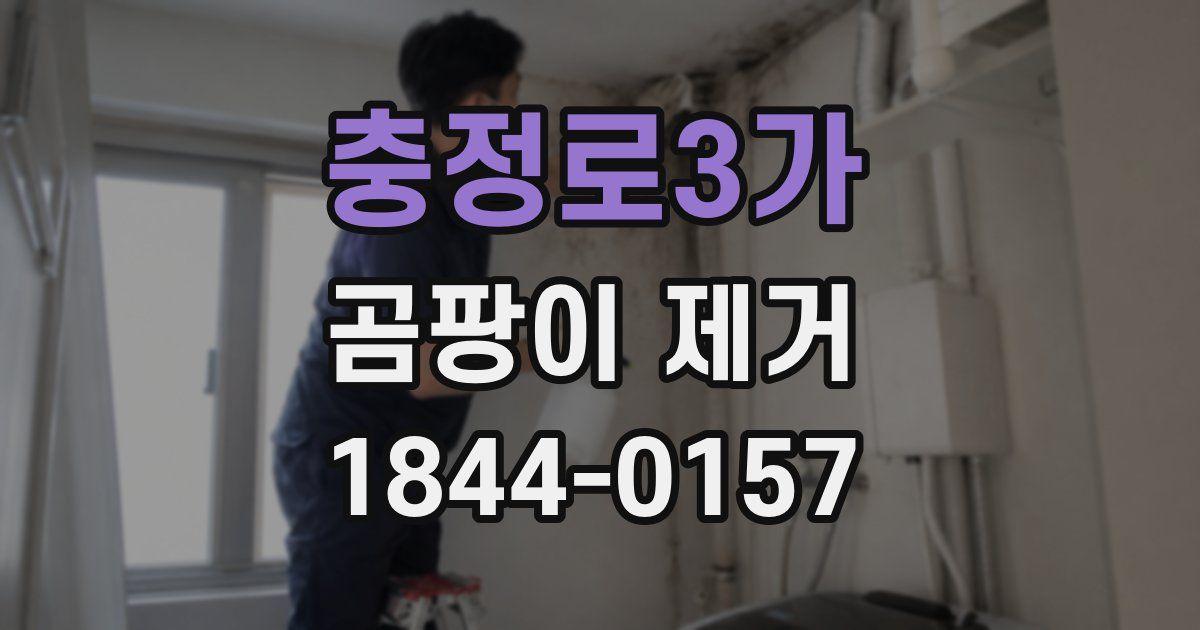 충정로3가 곰팡이 제거