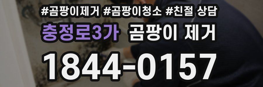 충정로3가 곰팡이 제거