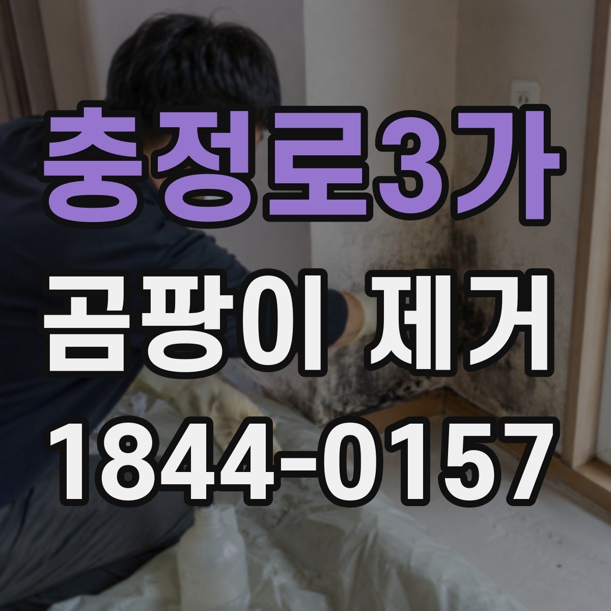 충정로3가 곰팡이 제거