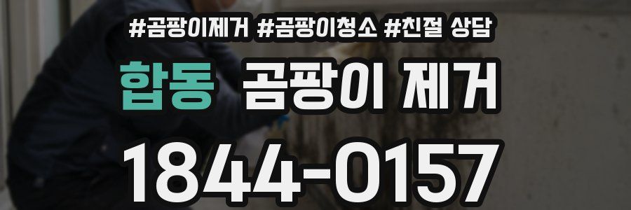 합동 곰팡이 제거