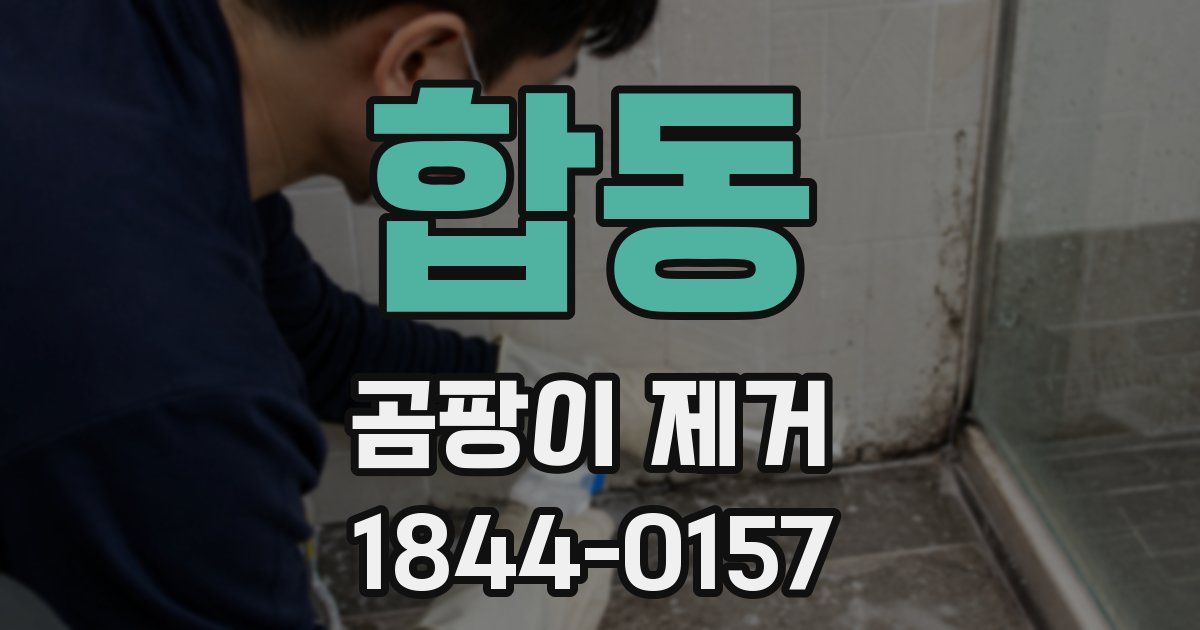 합동 곰팡이 제거