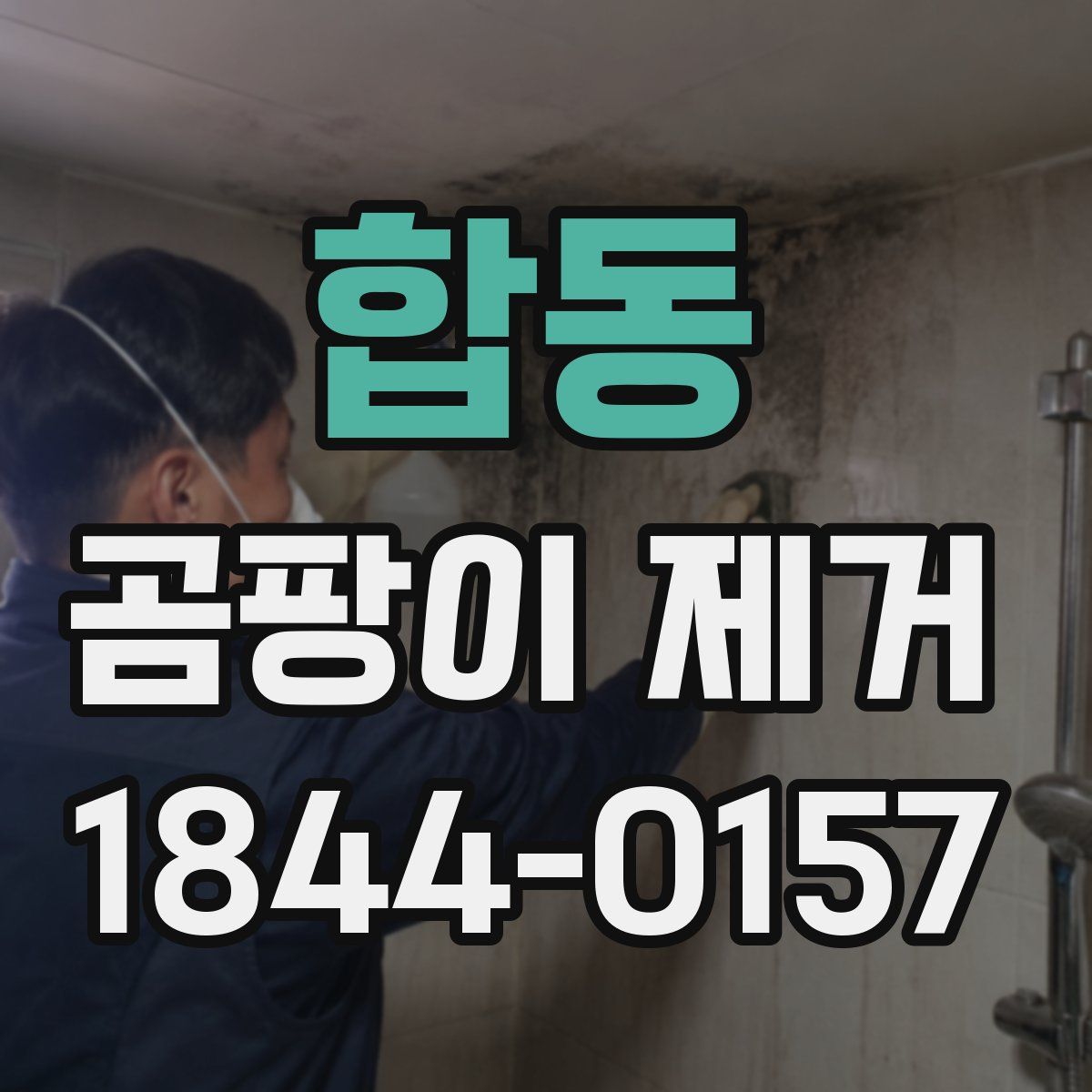 합동 곰팡이 제거
