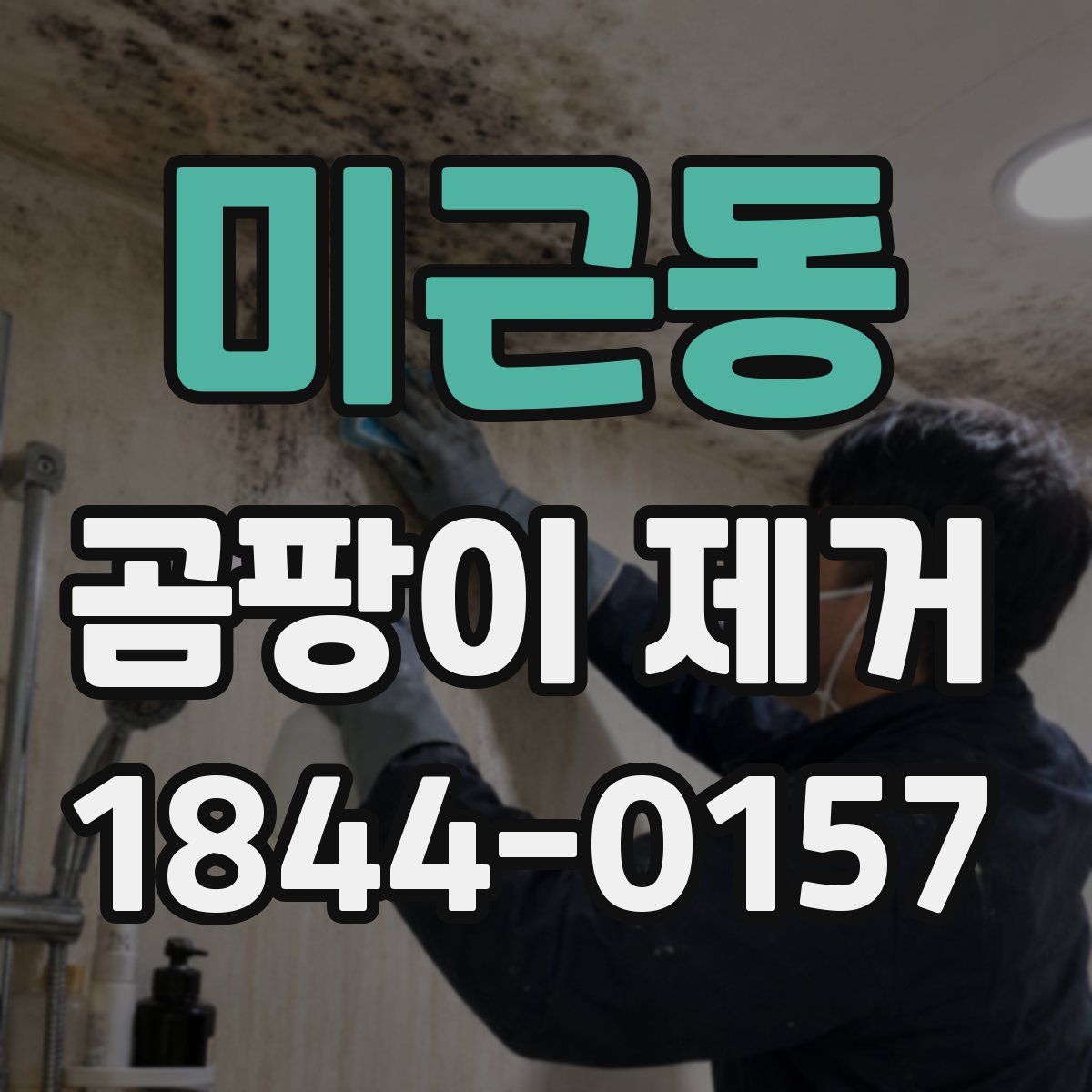 미근동 곰팡이 제거
