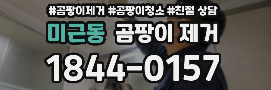 미근동 곰팡이 제거
