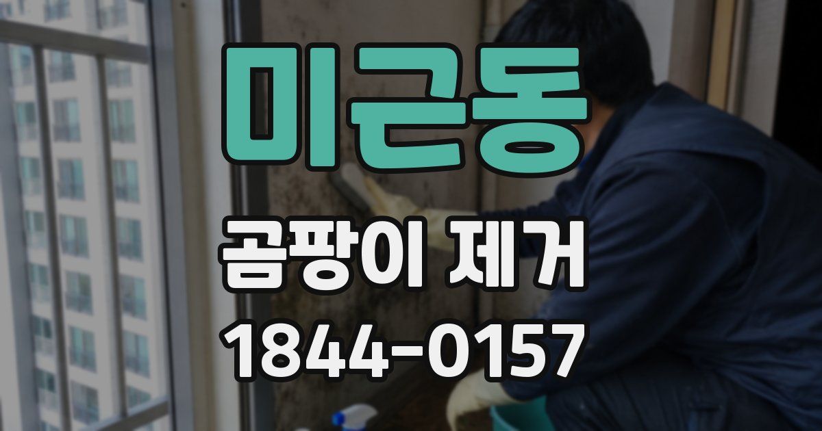 미근동 곰팡이 제거