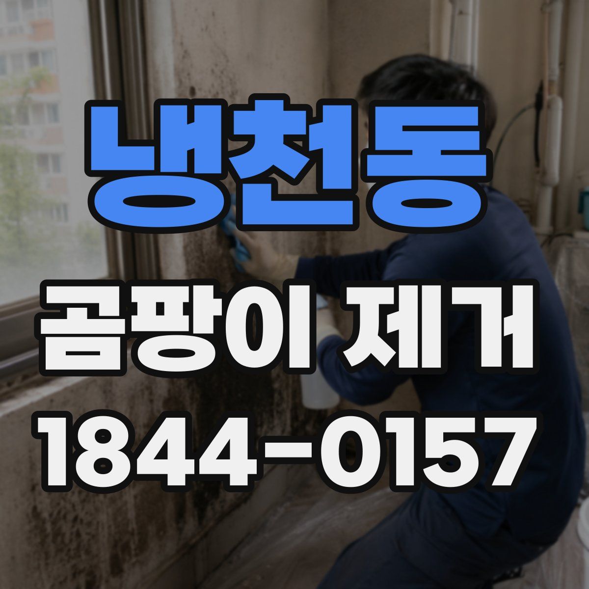 냉천동 곰팡이 제거