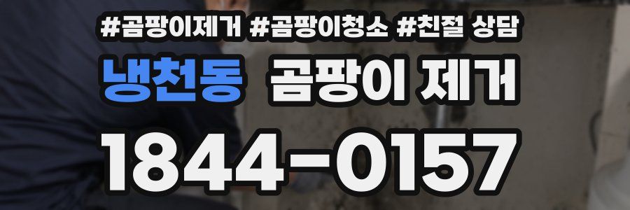 냉천동 곰팡이 제거