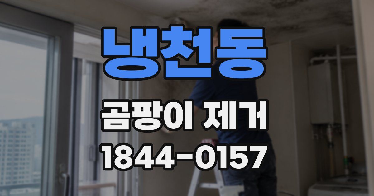 냉천동 곰팡이 제거