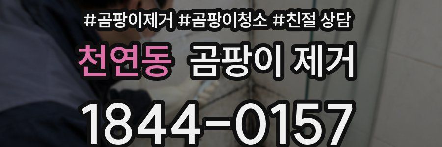 천연동 곰팡이 제거