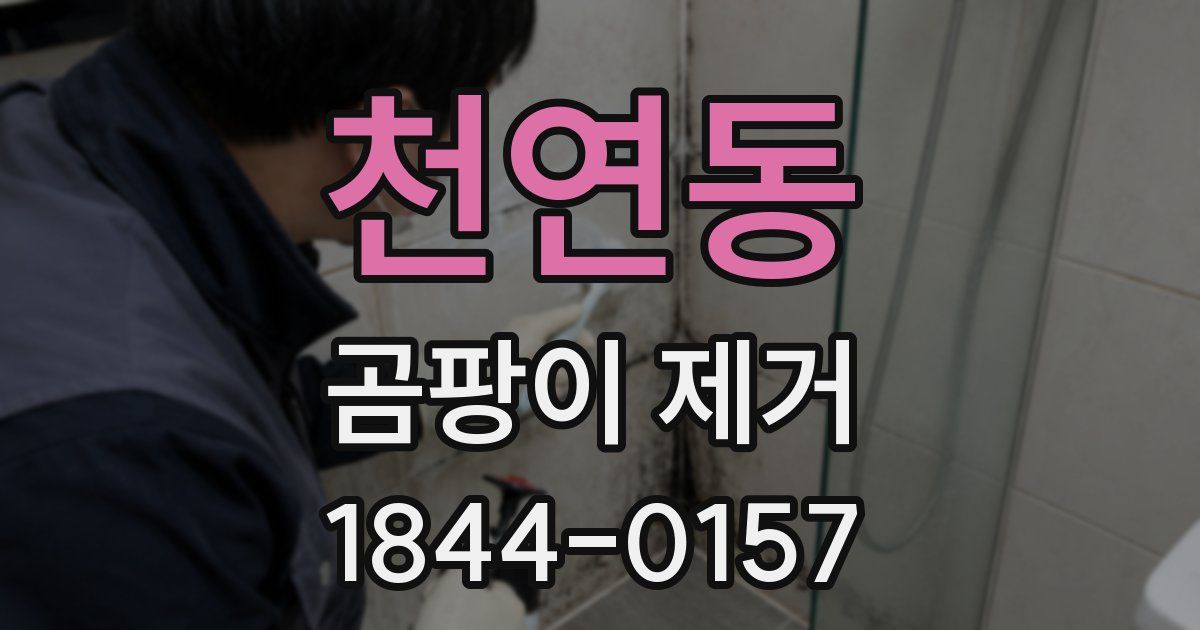 천연동 곰팡이 제거