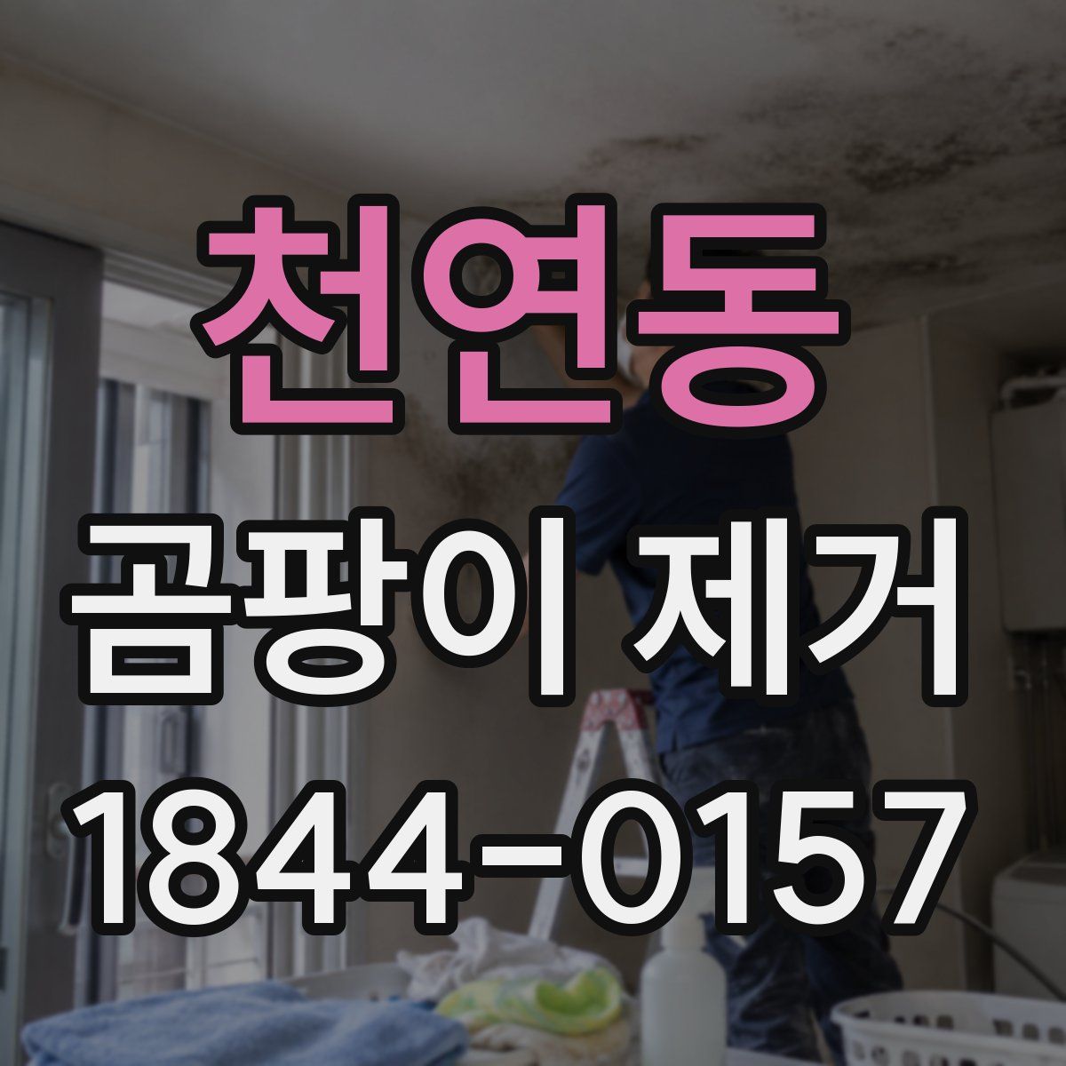 천연동 곰팡이 제거