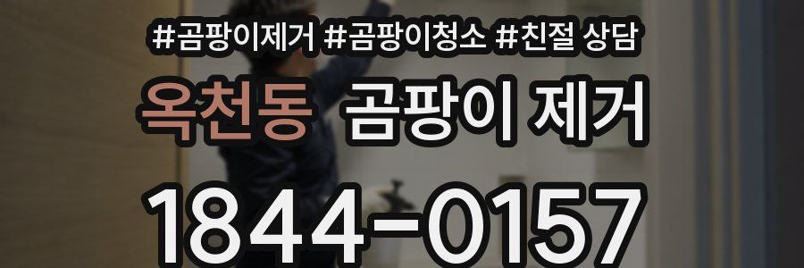 옥천동 곰팡이 제거