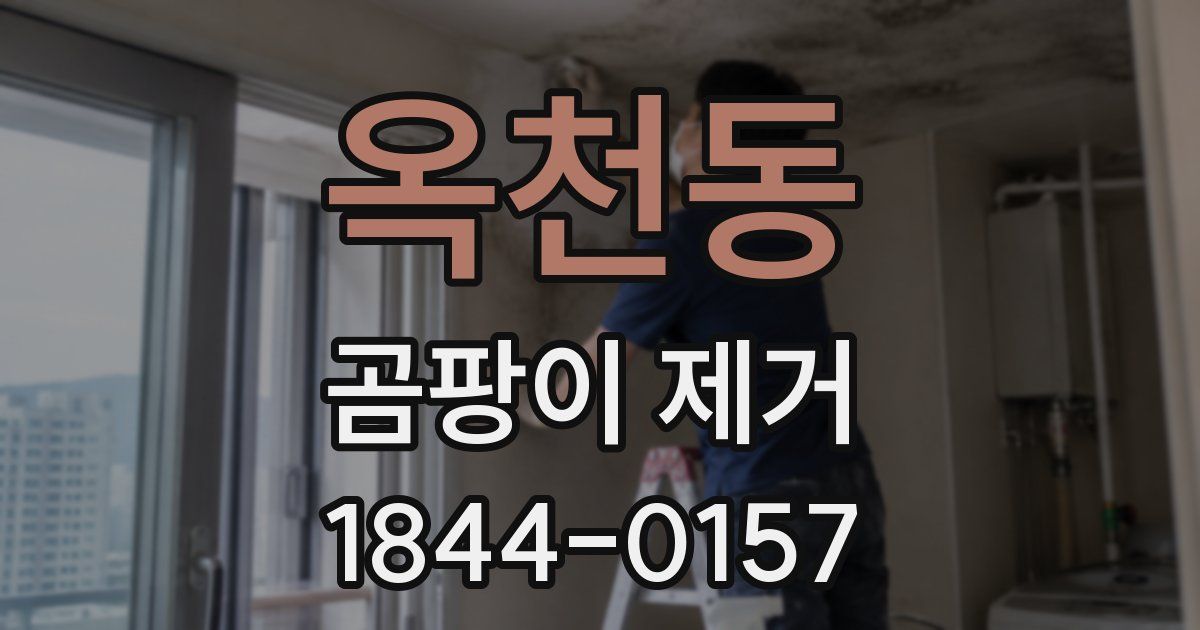 옥천동 곰팡이 제거